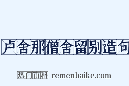 卢舍那僧舍留别造句是什么意思的图片
